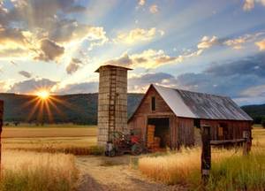 Country