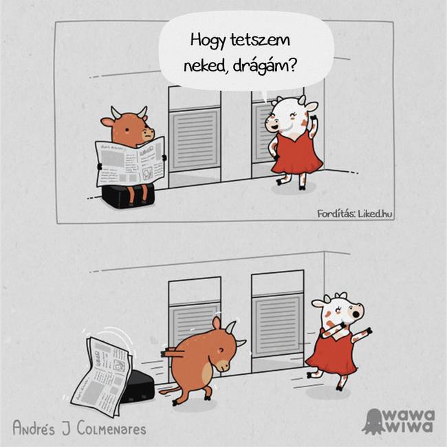 Egy tehetséges kolumbiai művész, aki humorral és szarkazmussal teli helyzeteket illusztrál