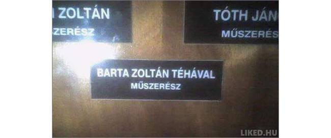 Igazi gyöngyszem.