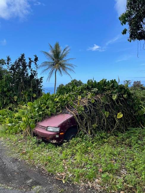 Ha Hawaii-on sokáig magára hagyod a kocsid, a sziget gyorsan kezelésbe veszi.
