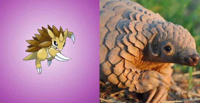 Sandslash | Tobzoska
