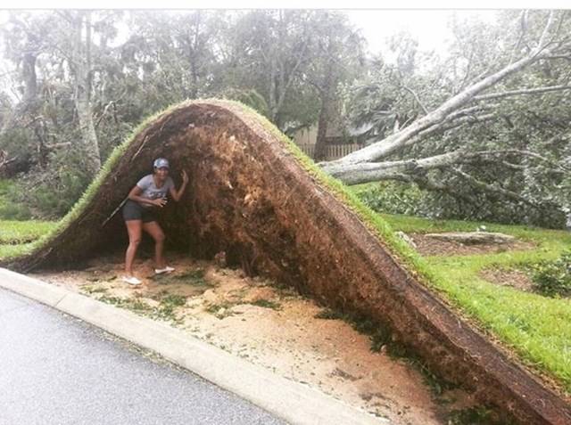 Egy hurrikán után, Daytonában.