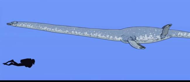 Az Elasmosaurus egy 10 méteres hal volt, ami több mint 80 millió évvel ezelőtt élt.