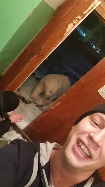 Miféle kutya ez?