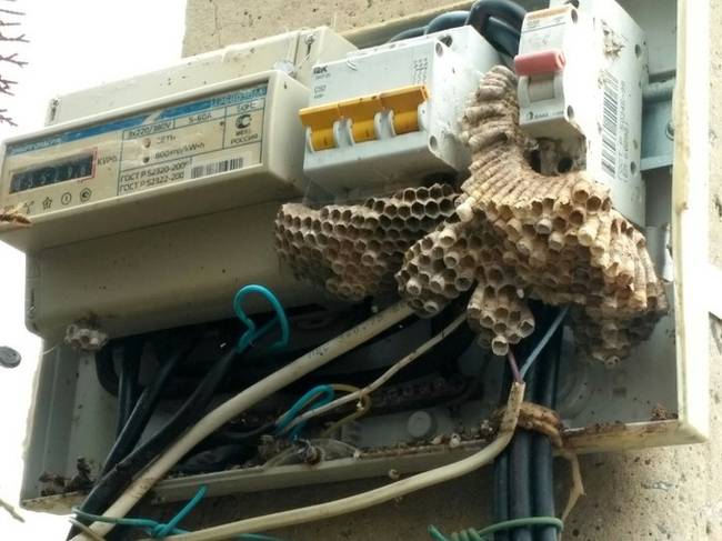 A villanyszerelők élete sem csak móka és kacagás.