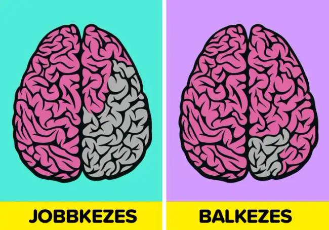 Balkezes emberek tények 019