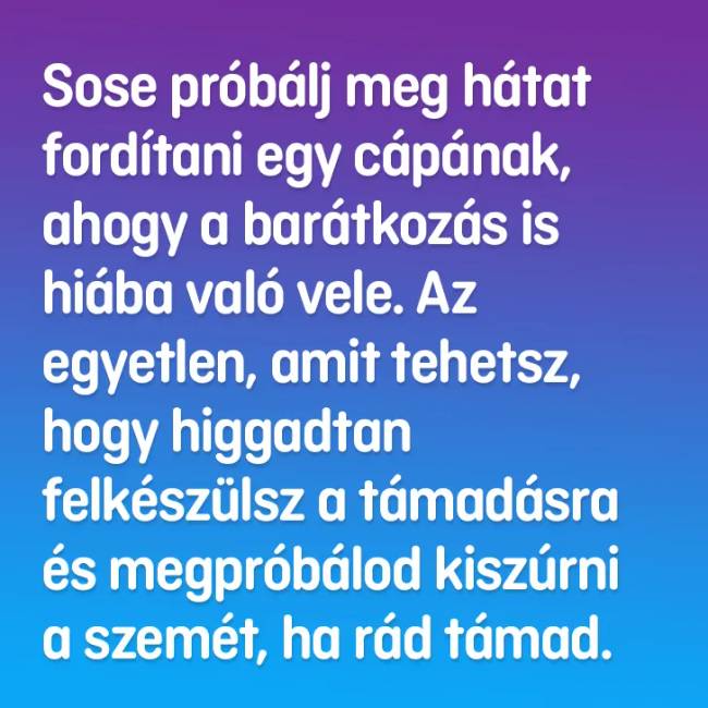 Te tudod, hogy lehet túlélni ezt a 8 életveszélyes helyzetet?