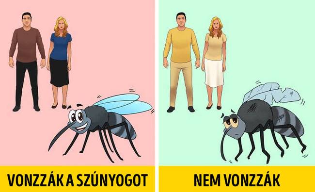 A szúnyogok jobban vonzódnak bizonyos színekhez