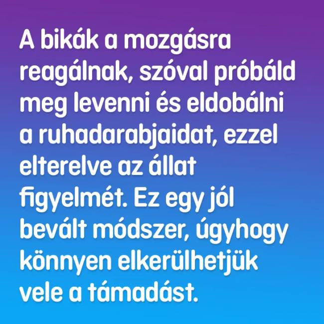Te tudod, hogy lehet túlélni ezt a 8 életveszélyes helyzetet?