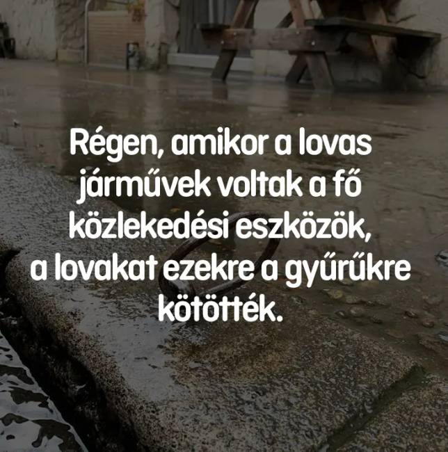 13 fényképrejtvény, amiken nem mindenki találja meg a választ