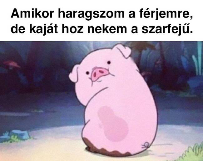 20 házassággal kapcsolatos mém, amit remekül summázza ezt az emberek közötti szent köteléket