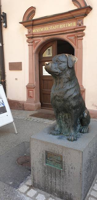 A járókelők szemmel láthatóan imádják a nóziját.