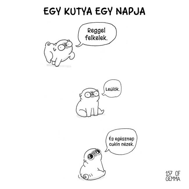 14 aranyos képregény, ami jól mutatja, hogy milyen is az élet egy kutyával