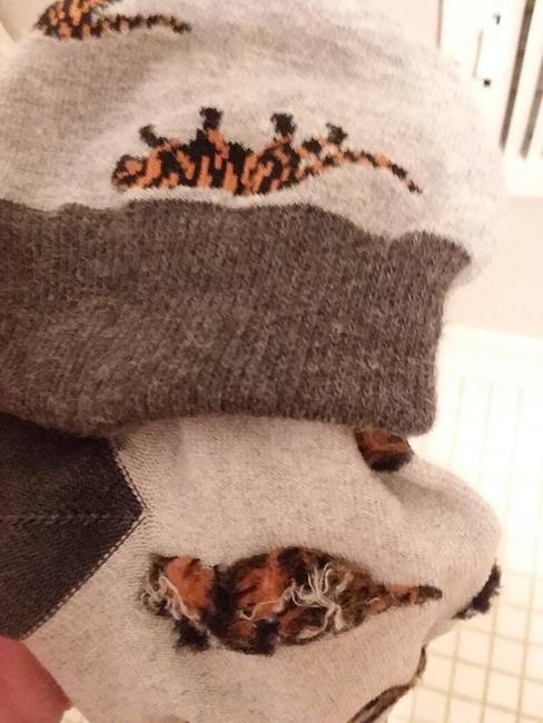 Kívülről egy tigris, de ha kifordítva veszed fel, akkor egy házimacska.