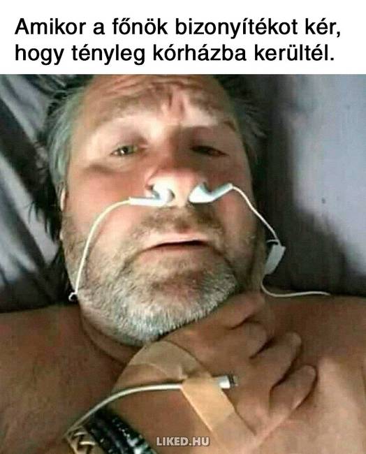 20 vicces mém a főnökökről, amit jobb, ha nem a munkahelyeden nézel meg