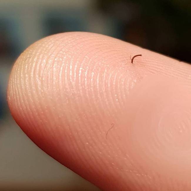„Beleállt egy szőrszál az ujjamba, amikor megvakartam a szakállam."