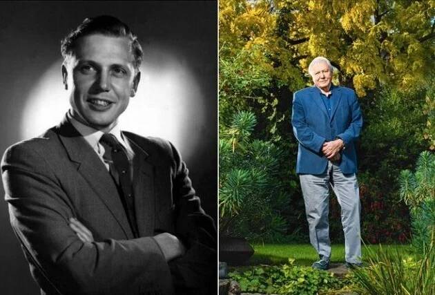 David Attenborough az egyetlen, aki fekete-fehér, színes, HD, 3D és 4K-s filmmel is tudott BAFTA filmdíjat nyerni.