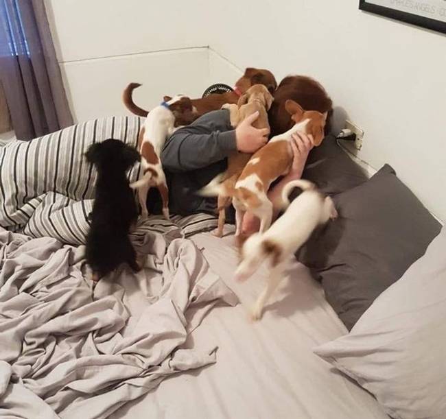 „Körülbelül egy éve egy kutyamenhelyen laktam Costa Ricában. Így ébredtem a születésnapomon."