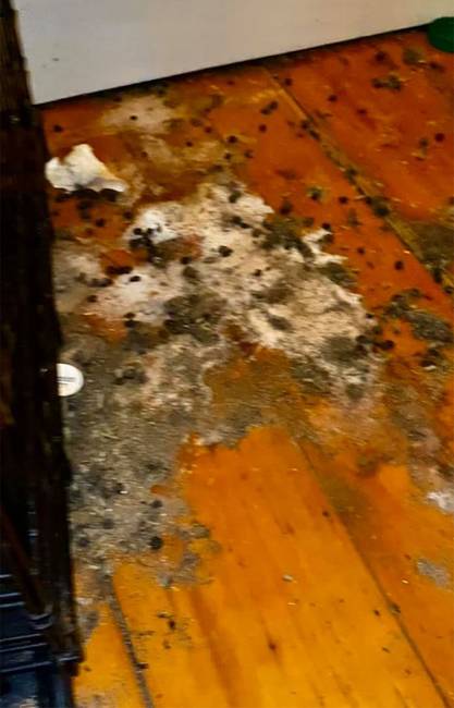 landlord high rents security deposits explanation jerry ciro ucci 14 5e4e4af511c35 700