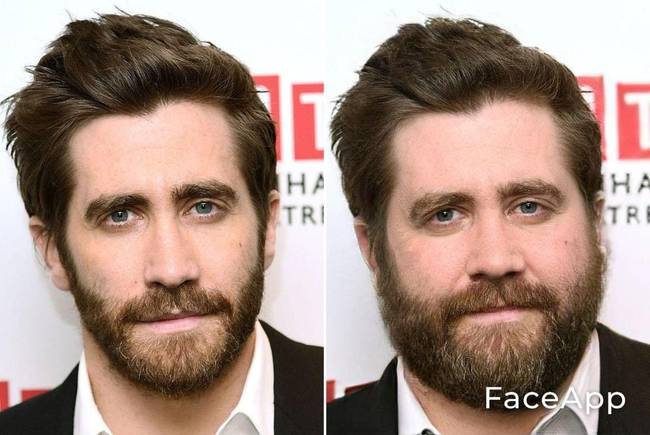 Jake Gyllenhaal