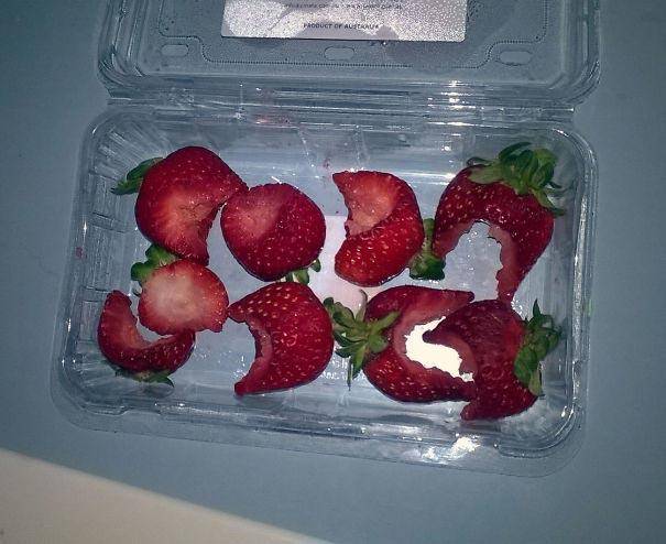 20 alkalom, amikor az emberek hirtelen döbbentek rá, hogy egy szörnyeteggel élnek egy fedél alatt