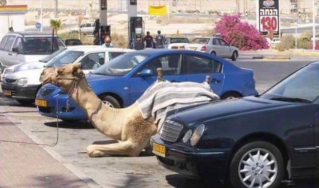 Vajon vettek rá parkolójegyet?!