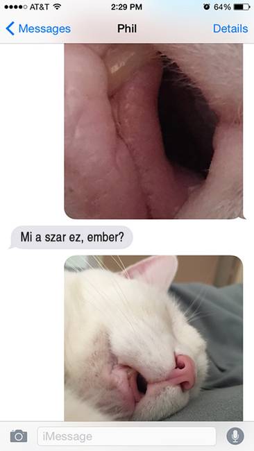 Valakinek túl sok a szabadideje.