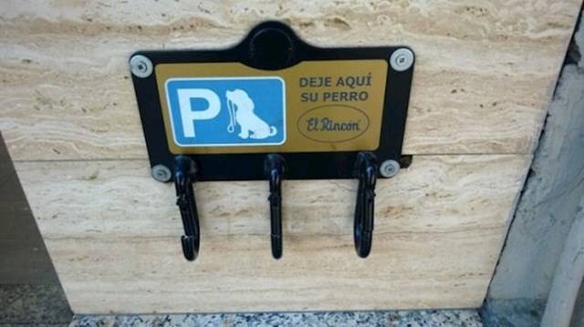 „Ne felejtsd el leparkolni a kutyát."