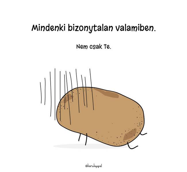 15 életre szóló igazság, egy aranyos és bölcs krumplitól