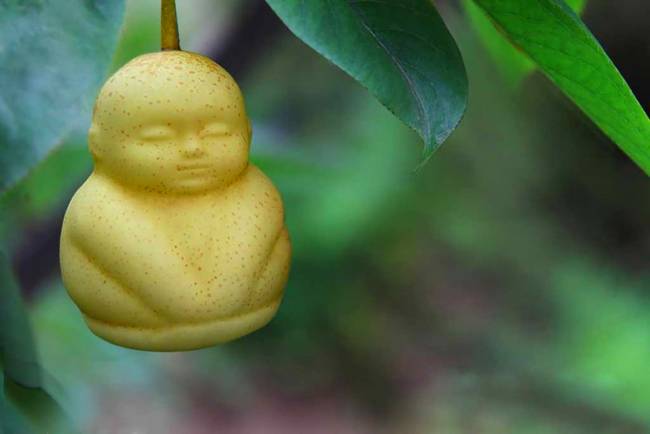 Buddha-alakú körte: ~2600 forint/darab
