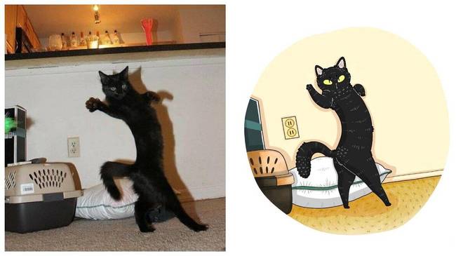 Cindy Catford