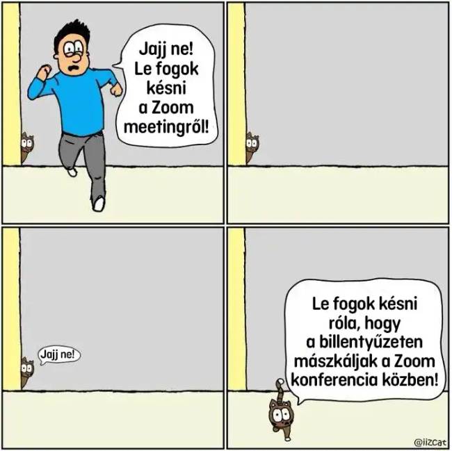 Macskás képregények 012