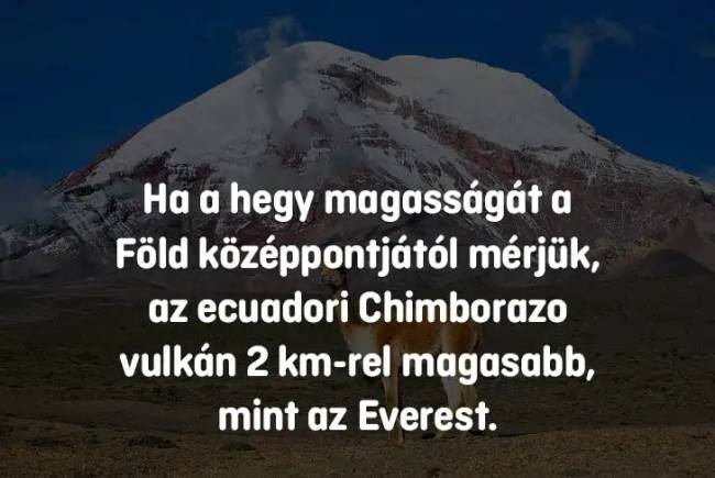 14 iskolai kérdés, ami még a legokosabb embereket is könnyedén összezavarja – de téged többé nem fog