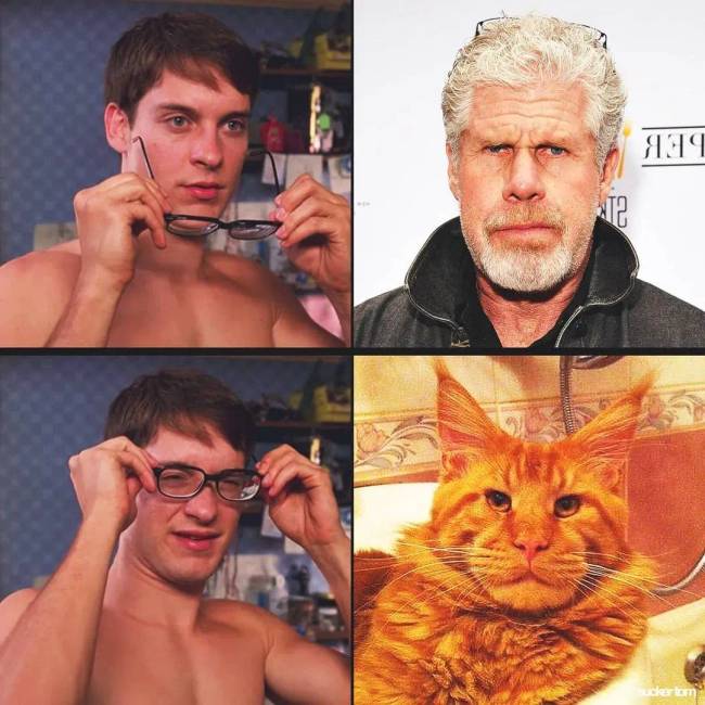 Hírességek hasonmásai 039