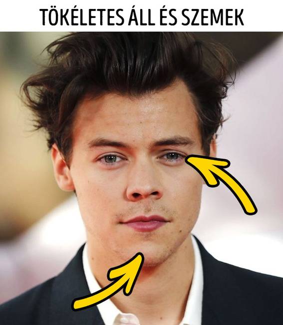 Harry Styles (89.63%)