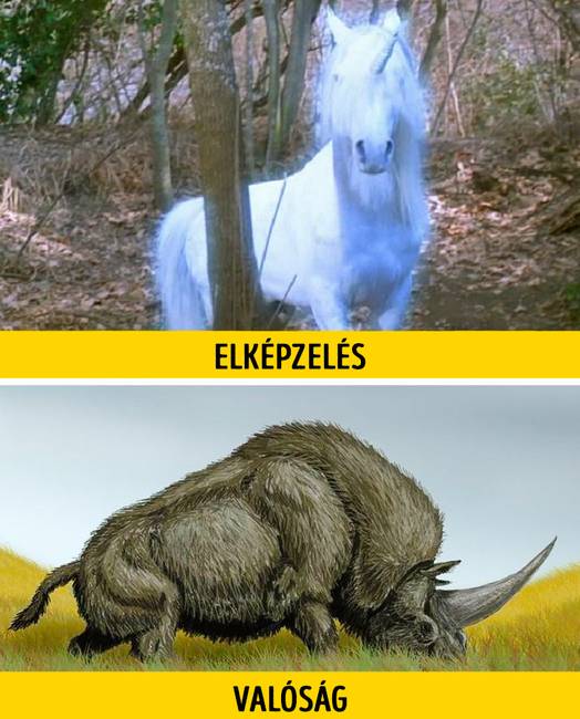 19 lenyűgöző fotó, amik bizonyítják: a természet sosem fogy ki a meglepetésekből