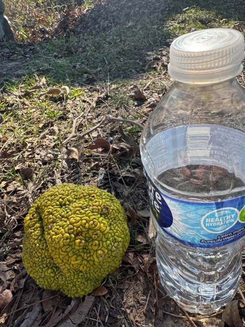 23 hihetetlen fotós érdekesség, amit első látásra nehéz elhinni