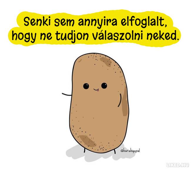 20 újabb bölcs gondolat egy krumplitól, ami Téged is gondolkodóba ejt