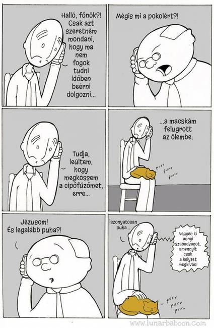 10 humoros képregény, ami megmutatja, hogy milyen együtt élni egy macskával