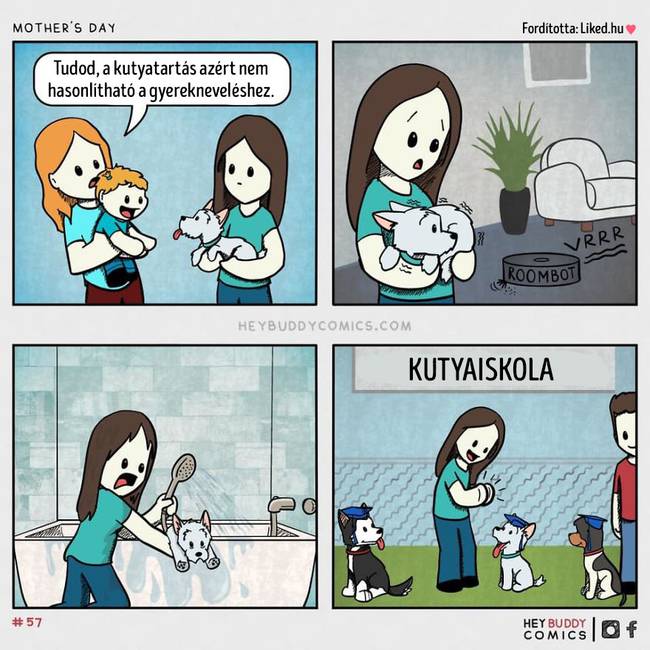 Csak azok mondanak ilyet, akiknek még nem volt kutyájuk.