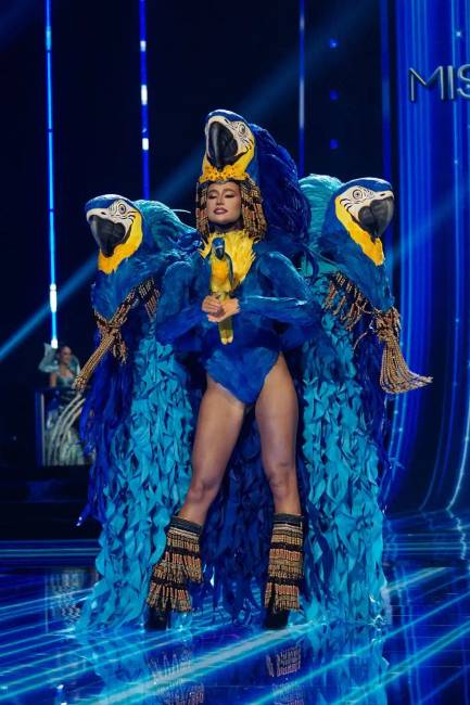 Miss Universe 2023 031