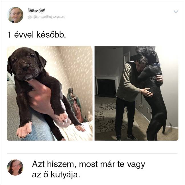 14 ember, aki a szarkasztikus megjegyzésével bármikor képes felhívni magára a figyelmet