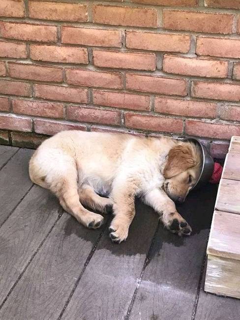 Mindenki a maga módján hűsöl a melegben.