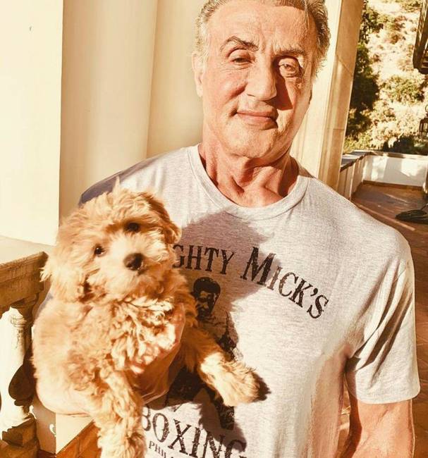 Sylvester Stallone