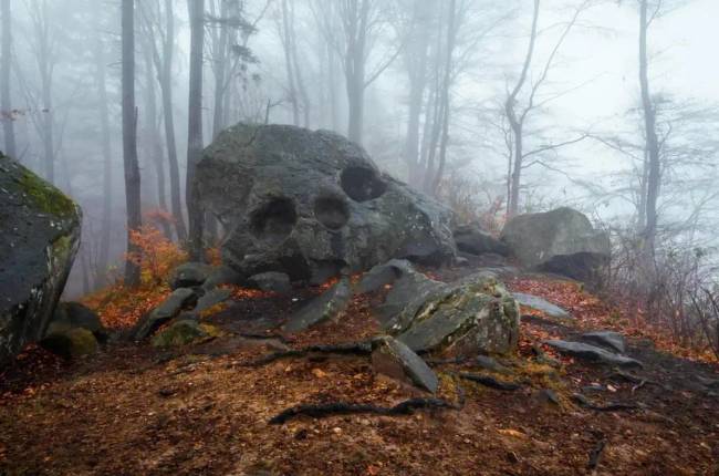 Erdei dolgok024