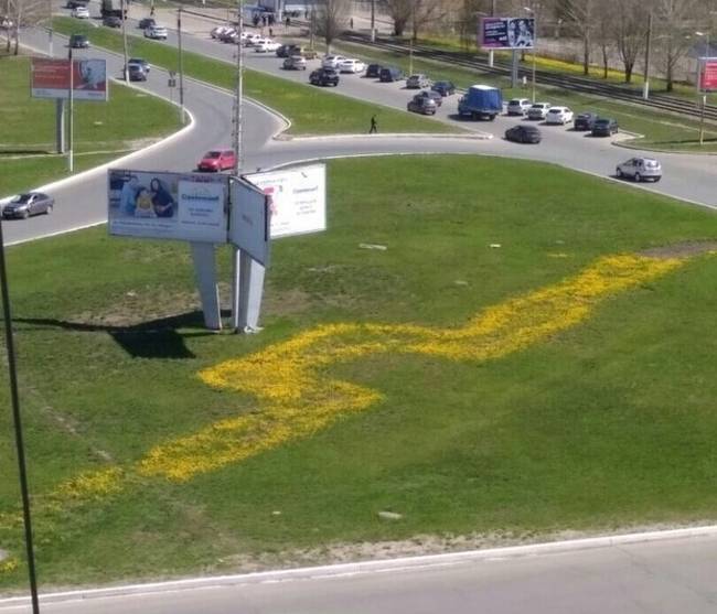Csak ott virágoztak ki a pitypangok, ahol a hővezeték húzódik a föld alatt.