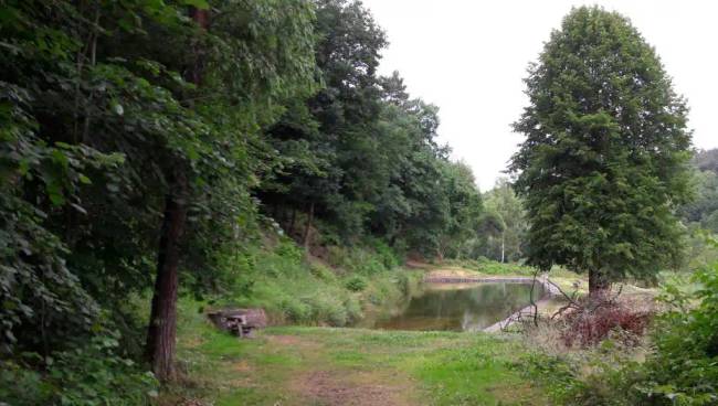 Német medencék 012