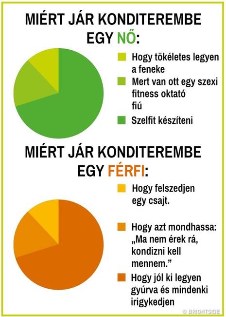 15 kördiagram, mely remekül summázza a férfi és női nem közti ordító különbségeket