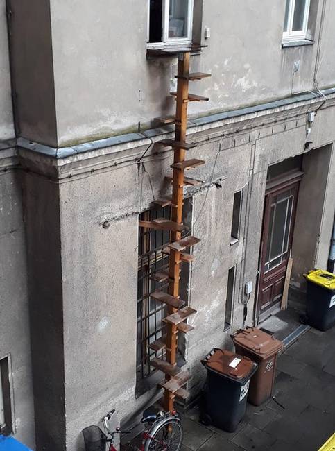 Néhány berlini háznál ilyen lépcsők vannak telepítve annak érdekében, hogy a macskák maguktól bejuthassanak a lakásba.