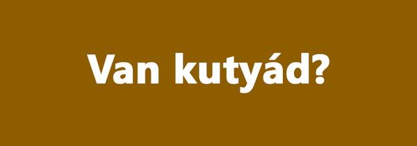 Teszt hány kilót fogsz hízni a karantén alatt